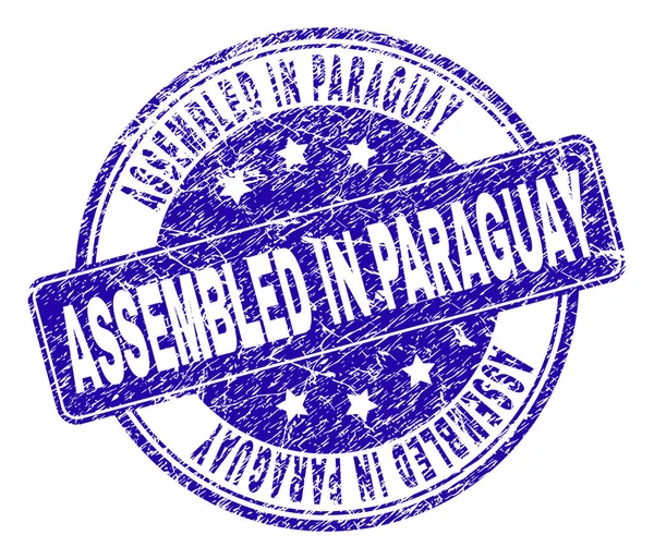 Tessitura graffiata ASSEMBLEA IN PARAGUAY Sigillo francobollo — Vettoriale Stock