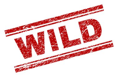 Dokulu vahşi damga mühür çizik