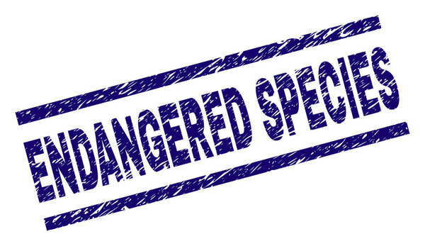 Царапнутая текстурированная печать с надписью
