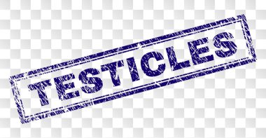 Grunge testis dikdörtgen damgası