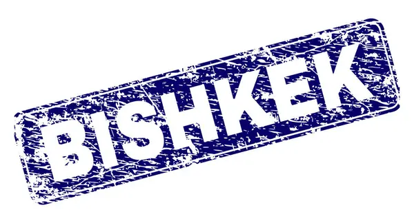 Sello de rectángulo redondeado enmarcado BISHKEK rayado — Vector de stock