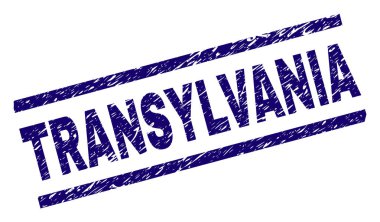 Grunge Transilvanya damga mühür dokulu