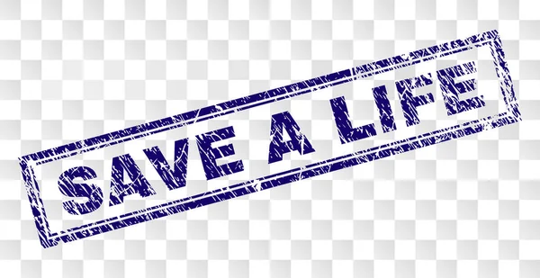 Hayat dikdörtgen pulunu çizik