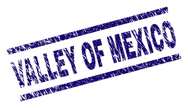 Porysowana plombie teksturowanej doliny Meksyku — Wektor stockowy
