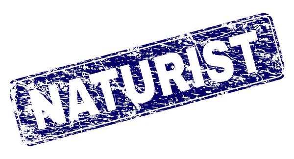 Grunge Naturist oprawione pieczęć zaokrąglony prostokąt — Wektor stockowy
