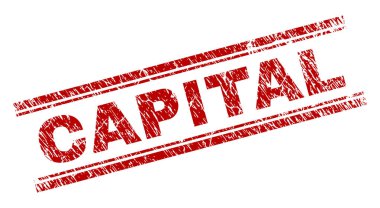 Dokulu sermaye damga mühür çizik