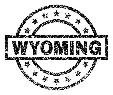 Dokulu Wyoming damga mühür çizik
