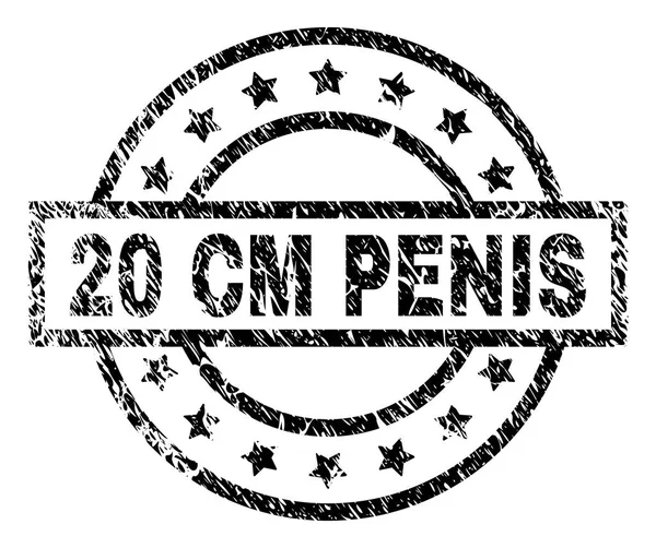 Sello de sello PENIS texturizado de 20 CM rayado — Vector de stock