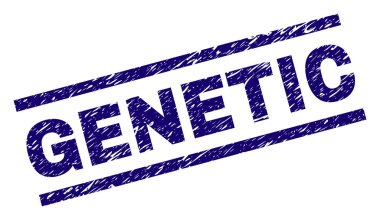 Dokulu genetik damga mühür çizik