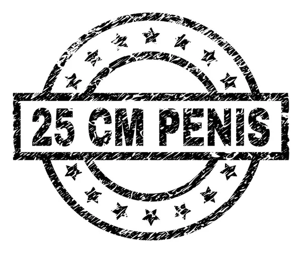 Sello de sello PENIS texturizado de 25 CM rayado — Vector de stock