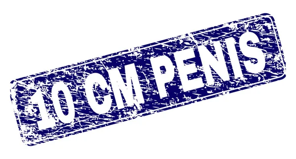 Грэмми 10 CM PENIS и прямоугольная печать — стоковый вектор