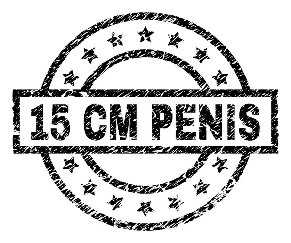 Dokulu 15 Cm Penis damga mühür çizik — Stok Vektör