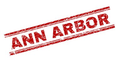 Grunge Ann Arbor damga mühür dokulu