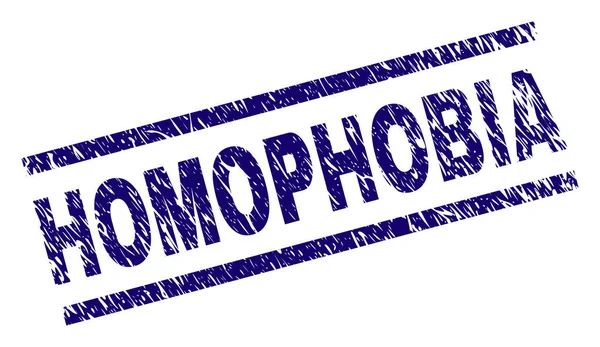 粗野的质感同性恋恐惧症邮票印章 — 图库矢量图片