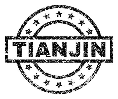 Dokulu Tianjin damga mühür çizik