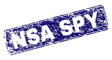 Yuvarlatılmış dikdörtgen damga grunge Nsa casus çerçeveli