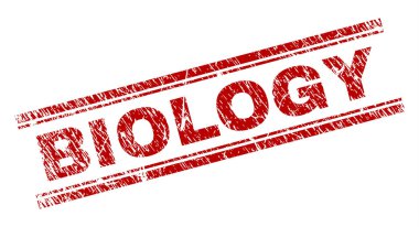 Dokulu biyoloji damga mühür çizik