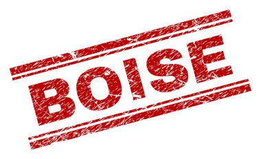 Dokulu Boise damga mühür çizik