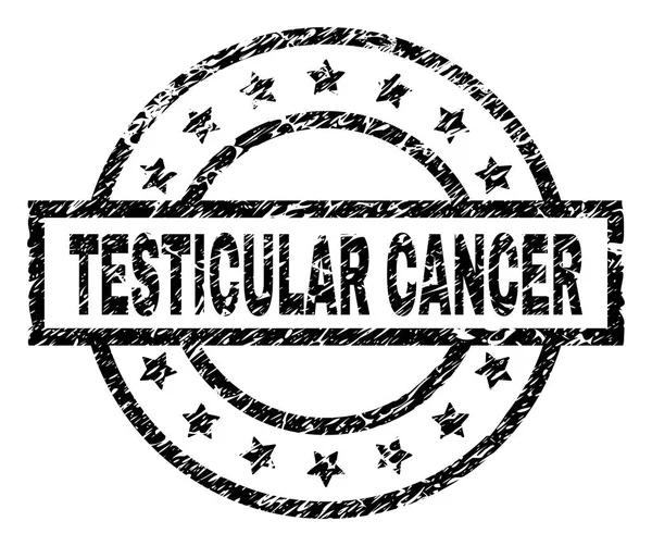 Sceau de sceau de CANCER TESTICULAIRE texturé rayé — Image vectorielle
