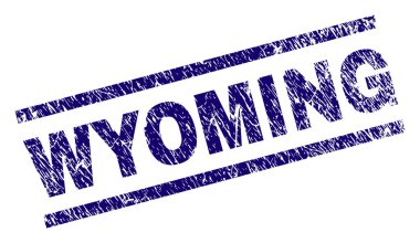 Dokulu Wyoming damga mühür çizik