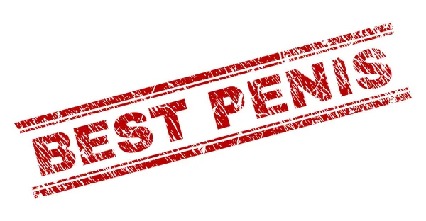 Grunge getextureerde beste Penis stempel-zegel — Stockvector