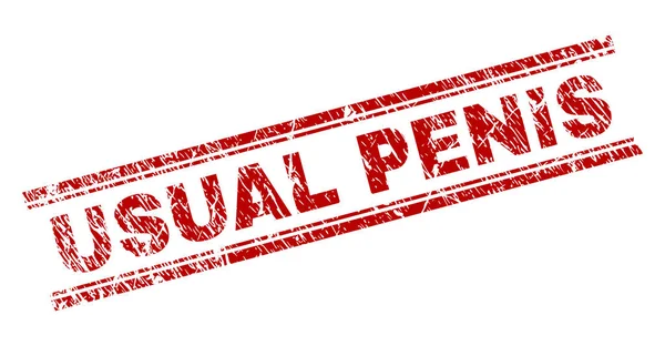 Grunge Texturé USUAL PENIS Stamp Seal — Image vectorielle