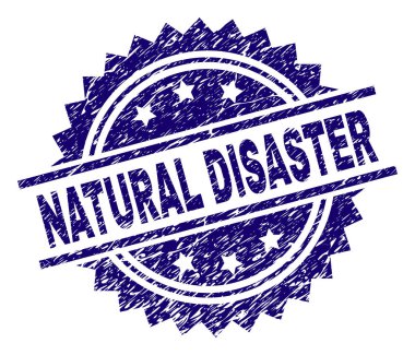 Grunge dokulu doğal afet damga mühür