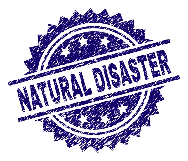 Grunge Textured NATURAL DISASTER Stamp Seal — Stock Vector