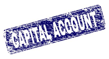 Yuvarlatılmış dikdörtgen damga grunge sermaye hesabı çerçeveli