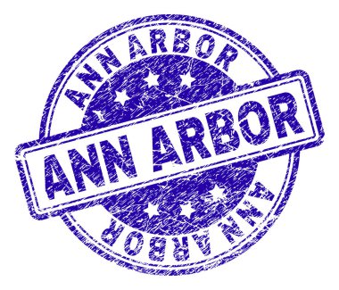 Grunge Ann Arbor damga mühür dokulu