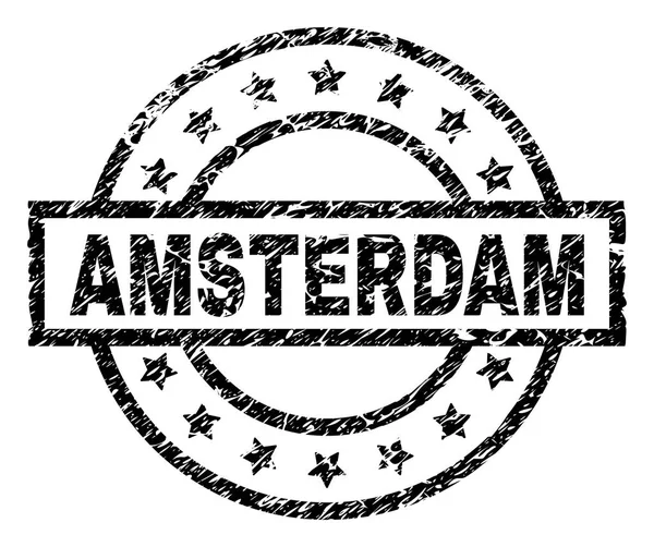 Grunge Amsterdam damga mühür dokulu — Stok Vektör