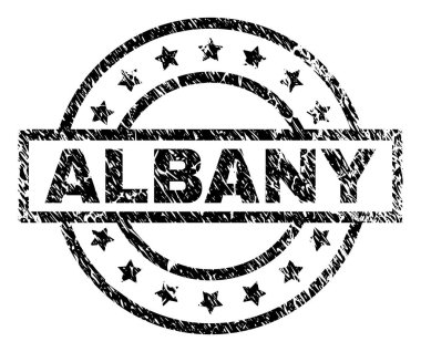 Grunge Albany damga mühür dokulu