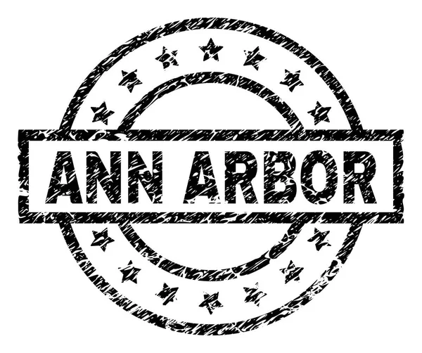 Grunge Ann Arbor damga mühür dokulu