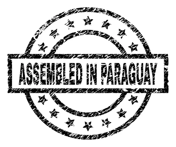 Grunge getextureerde geassembleerd In Paraguay zegel stempel — Stockvector