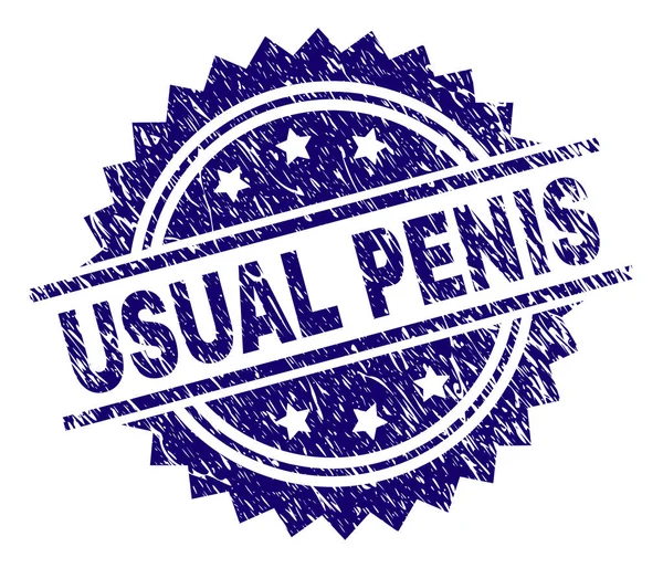 Scratched Textured USUAL PENIS Stamp Seal — Stock Vector