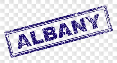 Grunge Albany dikdörtgen damgası