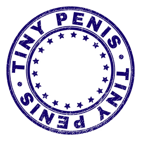 Gekraste getextureerde kleine Penis ronde stempel-zegel — Stockvector