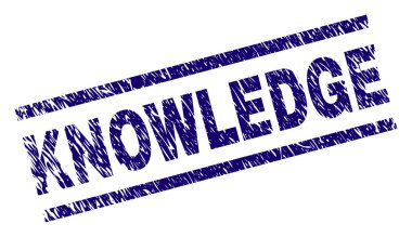 Dokulu bilgi damga mühür çizik