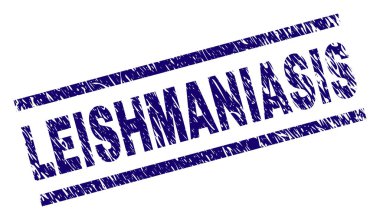 Dokulu Leishmaniasis damga mühür çizik