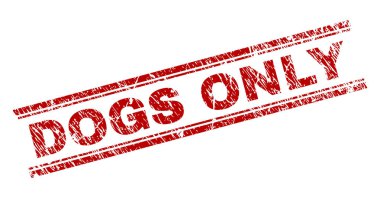 Çizik dokulu köpekler sadece mühür damgası