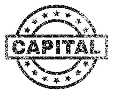 Dokulu sermaye damga mühür çizik