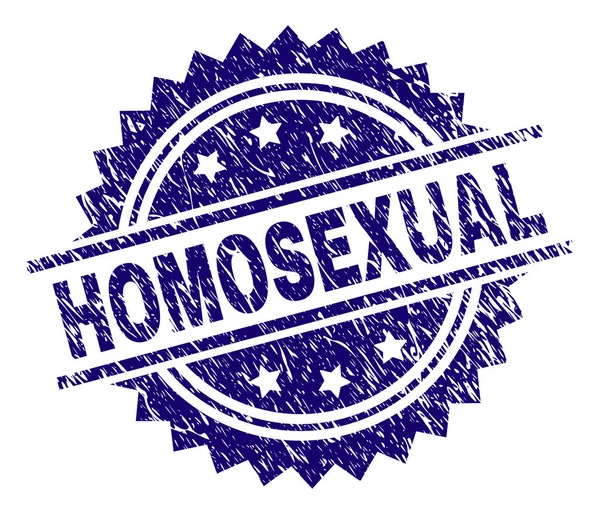 Grunge texturierte homosexuelle Stempelsiegel — Stockvektor