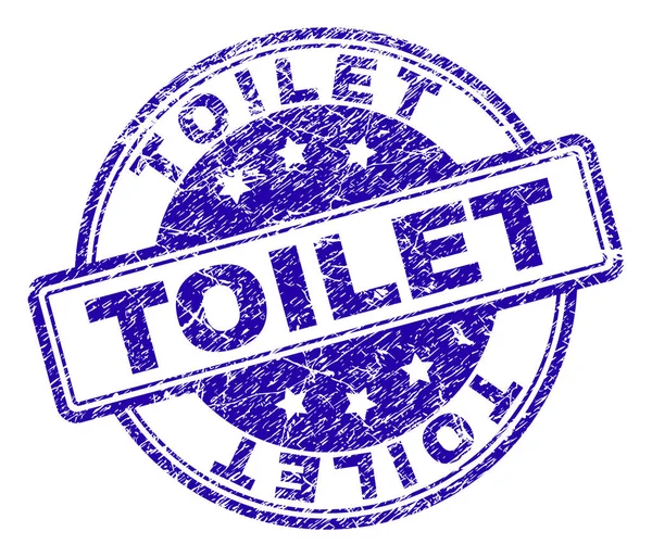 Grunge getextureerde Toilet stempel-zegel — Stockvector