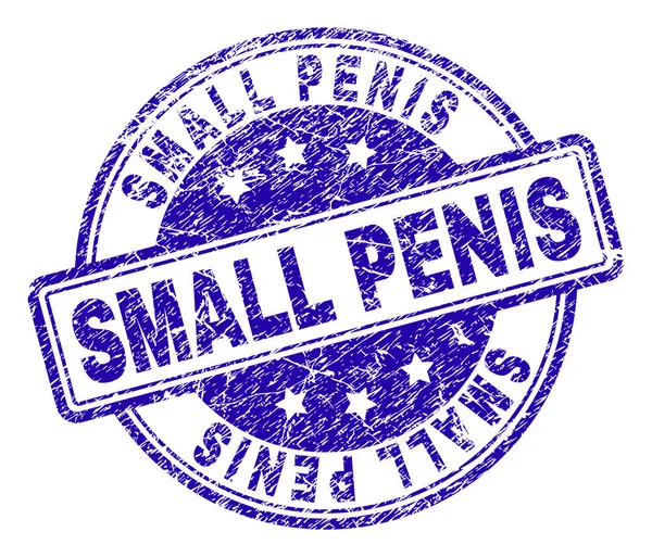 Zerkratzt texturierten kleinen Penis Stempel Siegel — Stockvektor