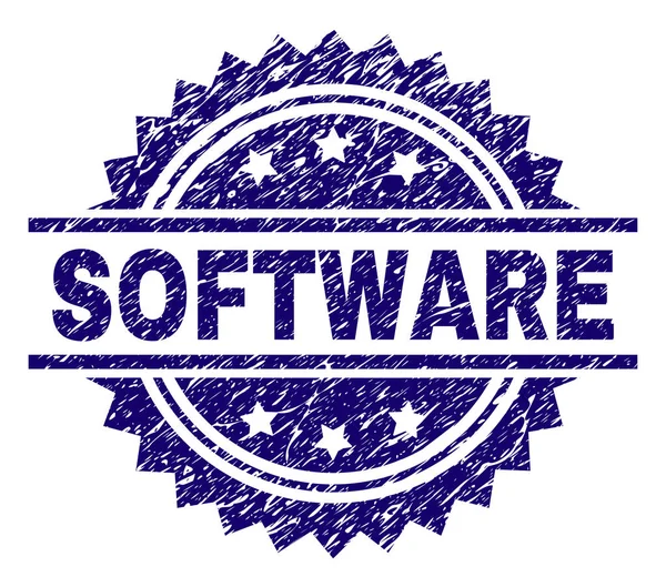 Sello de sello de SOFTWARE con textura grunge — Archivo Imágenes Vectoriales