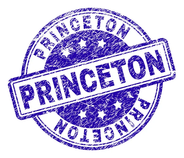 Scratched Textured PRINCETON Stamp Seal — Stock Vector