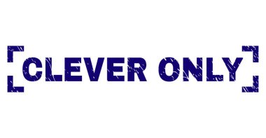 Grunge zeki tek damga mühür köşeler arasında dokulu