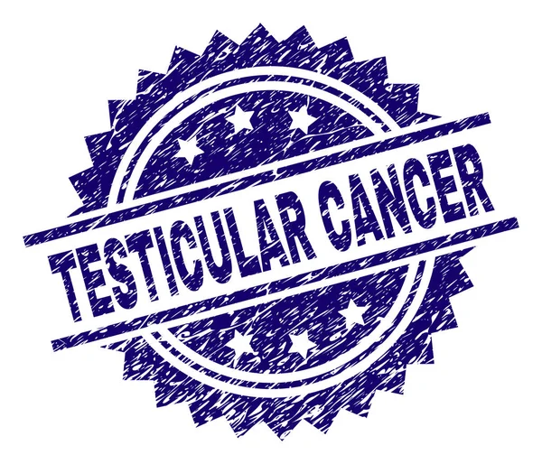 Selo de carimbo texturizado riscado TESTICULAR CANCER — Vetor de Stock