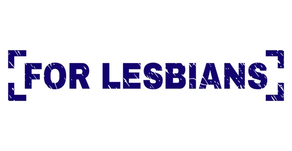 Porysowana teksturowanej dla lesbijki znaczków uszczelnienie pomiędzy narożnikami — Wektor stockowy