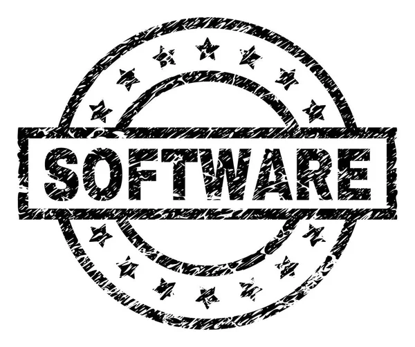 Sello de sello de SOFTWARE con textura grunge — Archivo Imágenes Vectoriales